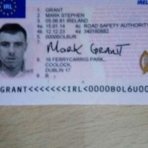 Irish driver's license