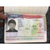 US Visa Online