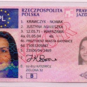 Polish Driver's License